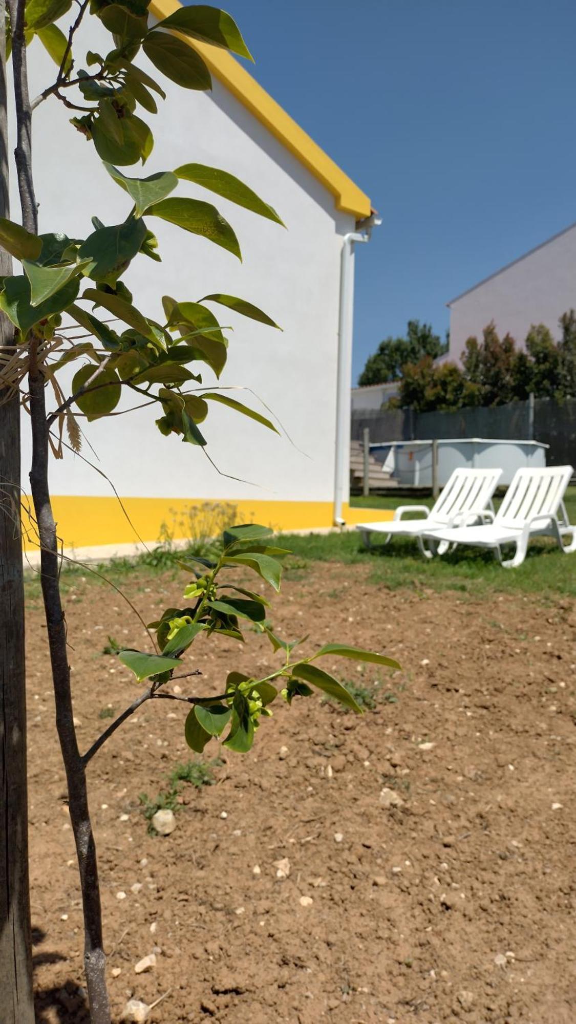 Вилла Casa Da Caroleira Pacos  Экстерьер фото